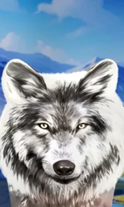 Wolf Fang - Valhalla Rising